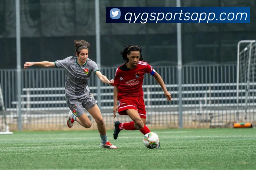 奇异果体育平台生态图