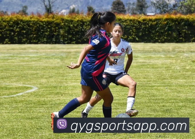 奇异果体育APP 封面图